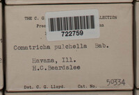 Image Associated With the Occurence